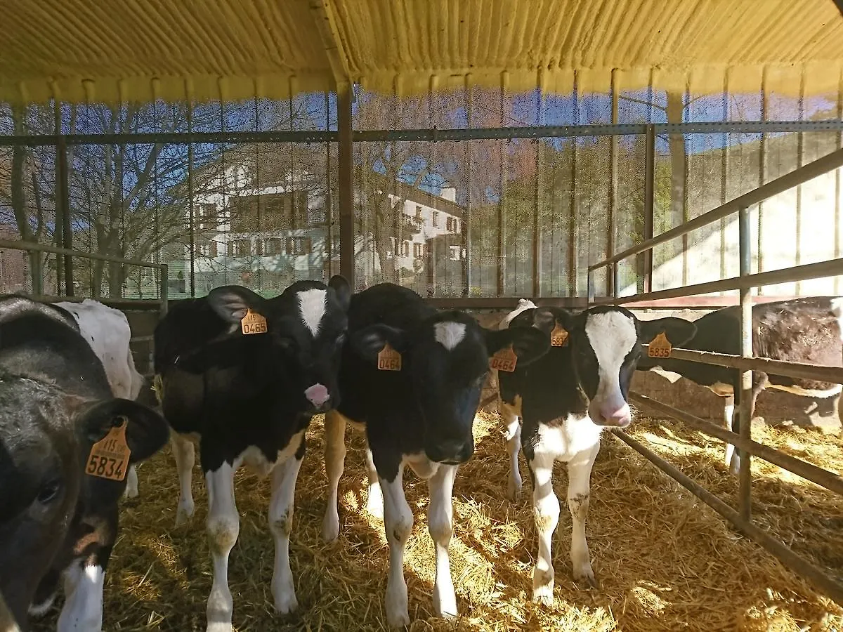 Farm stay Zubeltzu Torre Villa Zumaia